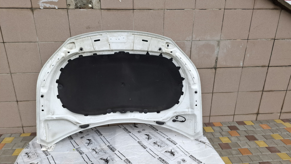 Капот VW Tiguan 2009-2018 б/у Оригинал Капот Тигуан 5N0823031D